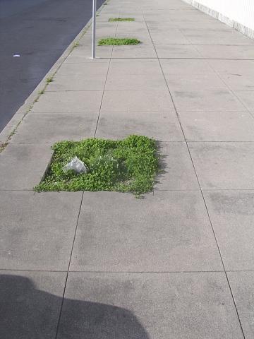 3407 (concrete, asphalt, earth, signpost)
3 invisible trees